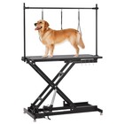 Heavy Duty Electric Dog Grooming Table 47  Height Adjustable Dog Grooming Arm