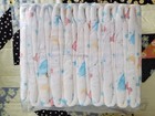 Bear Hugz By Changing Times Diaper Company 