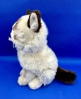 Gund Grumpy Cat Plush 10    Stuffed Animal Toy
