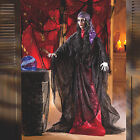 Madame Misery Halloween Decoration  Spooky Outdoor Decor  1 Piece  14  X 70 