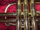 Holton Vintage Brass Cornet With Hard Case