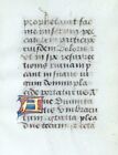 C  1500 Medieval Book Of Hours Bifolium Leaves  France  Illuminated Manuscript