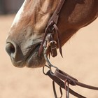 Classic Equine Bitlogic 7 5    Low Port Western Horse Bit - Swept-back Shank For