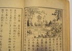 1913 Japanese Original Vintage Old Print Book