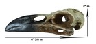 Ebros Pentagram Omega Alchemy Raven Crow Skull Figurine With Carved Rune Symbols
