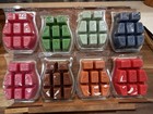 Scentsy Lot 8 Packs Wax Bar Melts 3 2oz Winter Fall Holiday Cinnamon Homestead