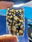 Sericho Pallasite Meteorite Slice From Kenya 30 50mm
