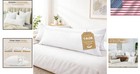 Pillow Inserts Set Of 2 14x36 Down Feather Bed Pillow Filler Decorative