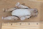 Antique German Jointed Bear 4  All Bisque 