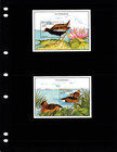  12 00 Scott Value - 1995 Gambia Ducks 2 S s Birds West African Cv Mnh Nh Umm