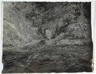 Antique Glass Plate Photo Negative   Tranquil  Untouched Woodland Stream