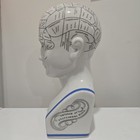 Phrenology Bust L n  Fowler Scientific Psychology 12  Ceramic Head Statue