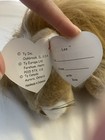 New Old Stock Classic 1996 Ty Plush Leo The Lion  18  Mwt Free Shipping