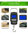 Digital Fishing Scale Portable Hanging Hook Electronic Weighing Fish Luggage Bag