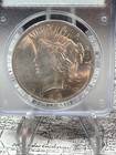 1923 Peace Dollar Pcgs Ms63  Rattler Holder 