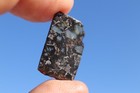 Admire Pallasite Meteorite  Etched Slice Weight 1 8 Grams 1 Inch