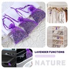 Dried Lavender Bundles   Natural Dried Lavender Flowers 200 Stems Home Fragra   