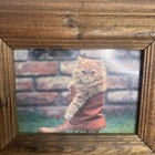 Vintage Wooden Picture Frame With Kitten Photo-rustic Farmhouse Decor 11x9in