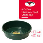 Little Giant 3 Gal Durable Flat Farm Livestock Feed Utility Pan  Green  12 Pack 