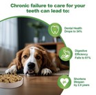 Pet Dental Cleaning Powder For Dogs - For Clean Teeth  Tartar And Fresh Breath