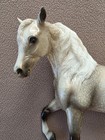 Breyer Fortuna 2003 Qvc Glossy Decorator Marabella Morgan Mare