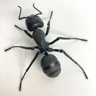    used    Bandai Gashapon Ant Action Figure 02 Japanese Carpenter Ant 10cm Japan
