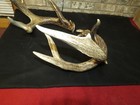Massive Set Whitetail Deer Sheds Antlers Taxidermy Mount Cabin Decor  North Wi 