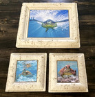 Sea Turtle Wall Art Set 3 Framed Photos On Ceramic Tile Ocean Underwater Decor