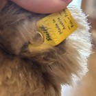 Vintage Steiff 15  Mohair Teddy Bear Button Ear Tag 0202 41 Austria