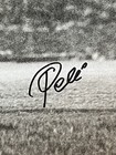 Pele Signed 16x20 Bike Kick Photo Framed Mint Auto Brazil Beckett Bas Coa