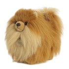Aurora - Miyoni - 9  Pomeranian Realistic Stuffed Animal