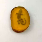 Beautiful Amber Fossil Insects Manual Polishing Gecko Amber Ornaments