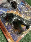 Bandai Toho Kaiju Special Set Godzilla Vs Megaguirus 5 Figures - Japanese Import