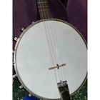 1920s Sterling Tb Co  Regal   Slingerland Tenor Banjo Original Case Beautiful