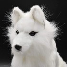 Hansa Bh6823 Arctic Fox 30 Plush Toy Stuffed Animal 30cm Acrylic Unisex New