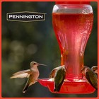 Pennington Glass Hummingbird Feeder  16 Oz Nectar Capacity