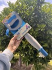 Disneyland 70th Anniversary Key To Disneyland Interactive Sounds No Pin New     