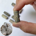 Crinoid Crinoid Sea Lily Fossils For Aquarium Terrarium Collector Cretaceous