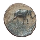 222 Bc Antiochos Iii Thegreat Medusa Shield Elephant Seleukid Greek Ancient Coin