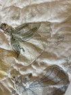 Pottery Barn Kids Disney Princess Heritage Toddle Quilt 36   x50    Nwt Ob Read