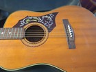 Wilson Model Ws55 6-string Acoustic Guitar Vintage  Nagano  Japan