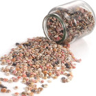 2000 Pcs Colourful Tiny Mini Small Sea Shells For Crafting Spiral Conch Shells F