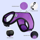 Niteangel Adjustable Soft Harness With Elastic Leash For Rabbits  l  Pink 