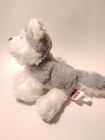Webkinz Lil Kinz Husky Hs120 Retired Ganz Soft Plush Toy Puppy Dog No Code