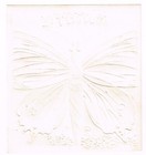 Original C1900 Cigar Box Label Antique Embossed Butterfly New York City Insect