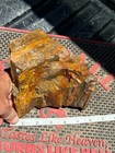       rr        Top Quality Arizona Rainbow Petrified Wood  4 75 Lb     