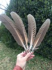 Wholesale  10-100pcs Rare Nest Ning Tail Feathers 12-14 Inch   30-35 Cm Feather