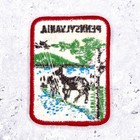 Vintage Pennsylvania Patch     Nature Wildlife Travel Souvenir     Sew-on