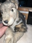 20 Inch Hansa Realistic Handcrafted Wolf Gray Floppy Plush Stuffed Animal Nwt