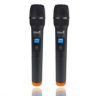 Pro Audio Wireless Microphone System Dual Channel Uhf Handheld Church Stage Mic